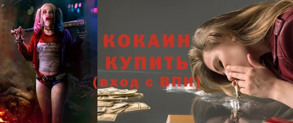 альфа пвп Гусев