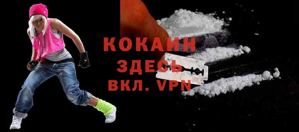 ешки Вяземский