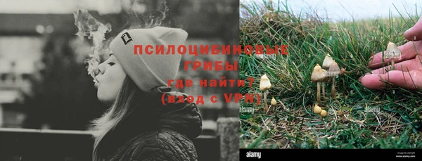 молекула духа Вязьма