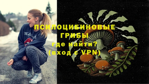 прущий лед Гусь-Хрустальный